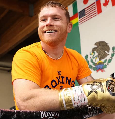 canelo chanel|canelo alvarez wikipedia.